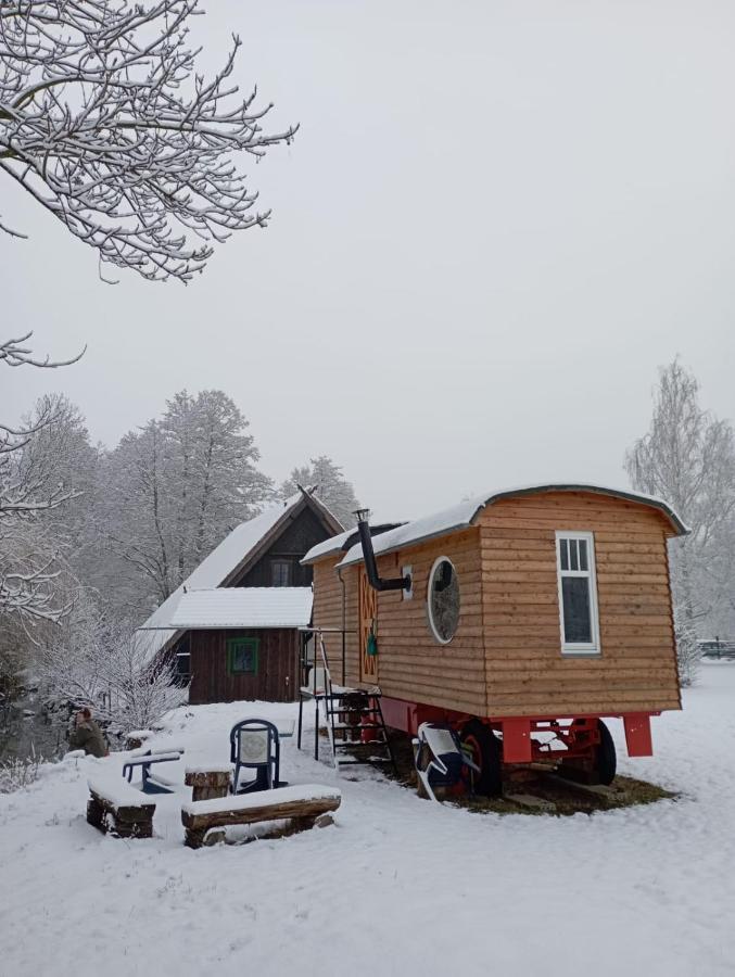 Appartement 1 Chambre