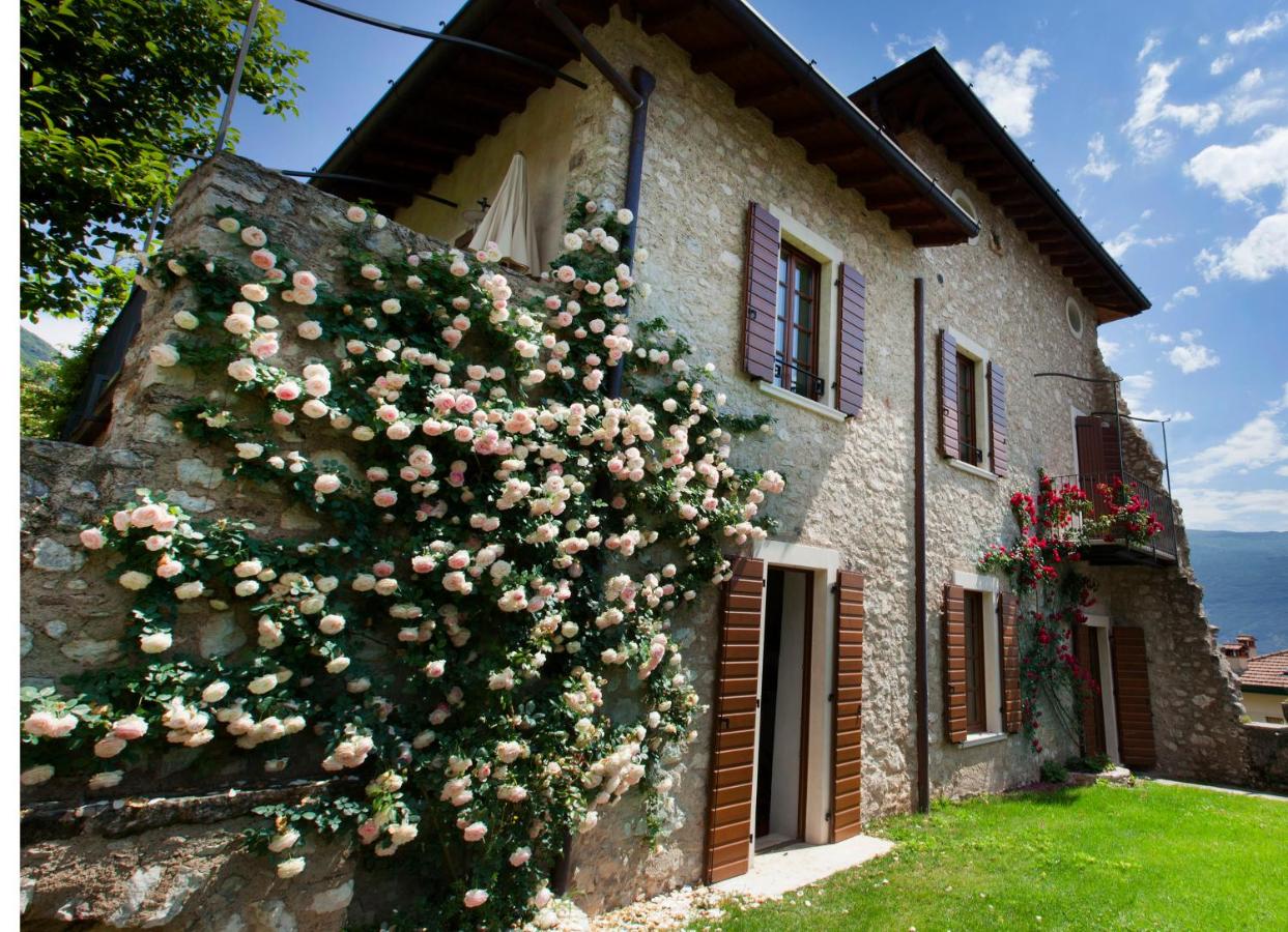 B&B Gargnano - Residence Fondo La Campagnola - Bed and Breakfast Gargnano