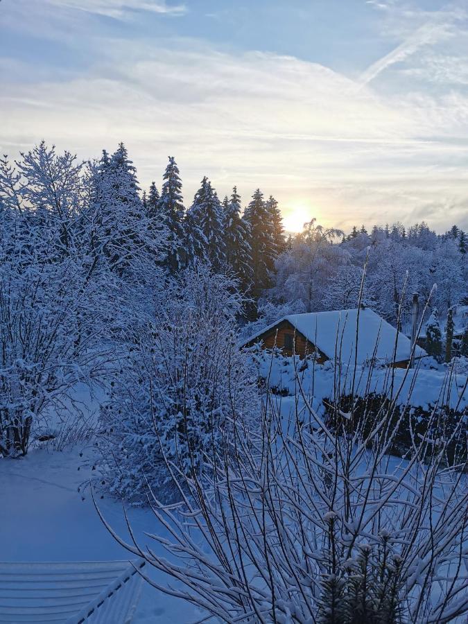 B&B Schmiedefeld am Rennsteig - Ferienwohnung "Am Wald" - Bed and Breakfast Schmiedefeld am Rennsteig