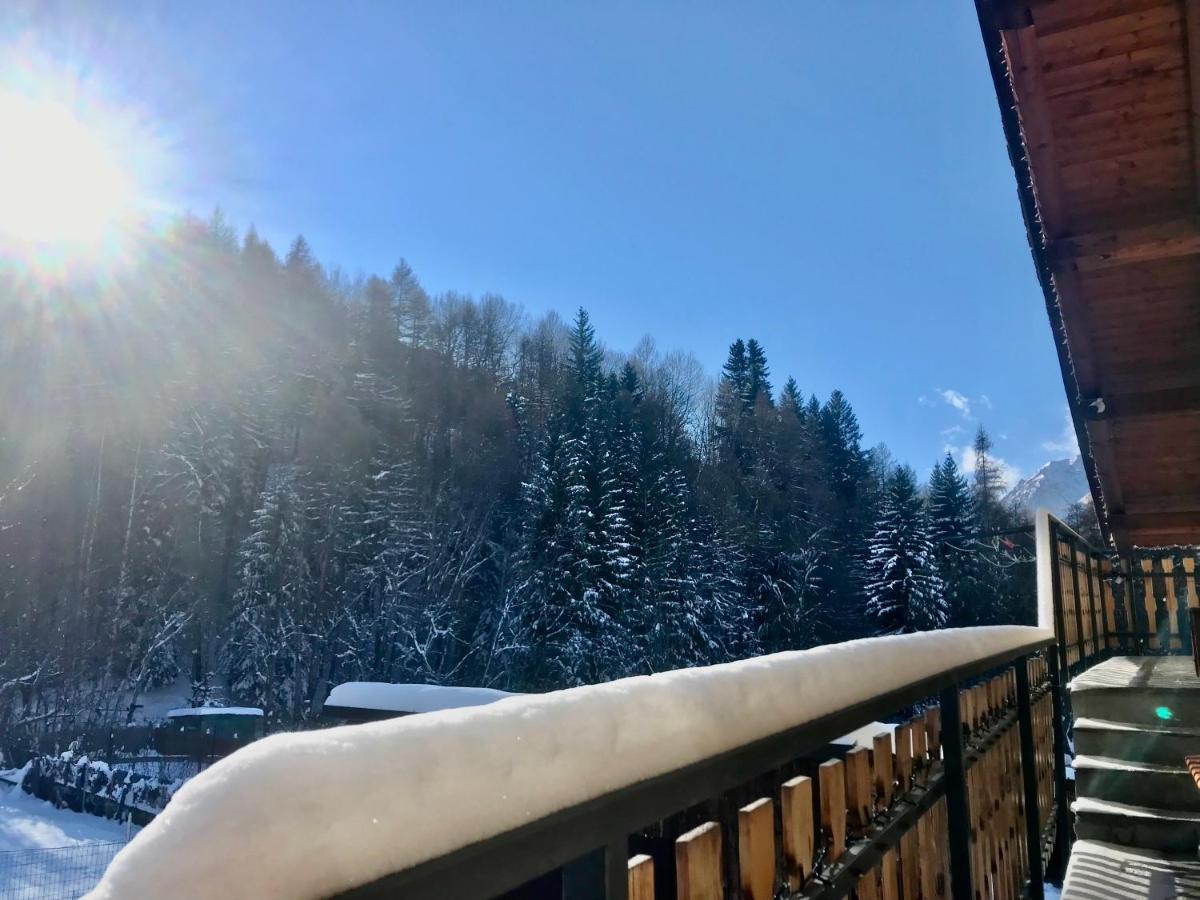 Apartamento de 2 dormitorios - 2 niveles