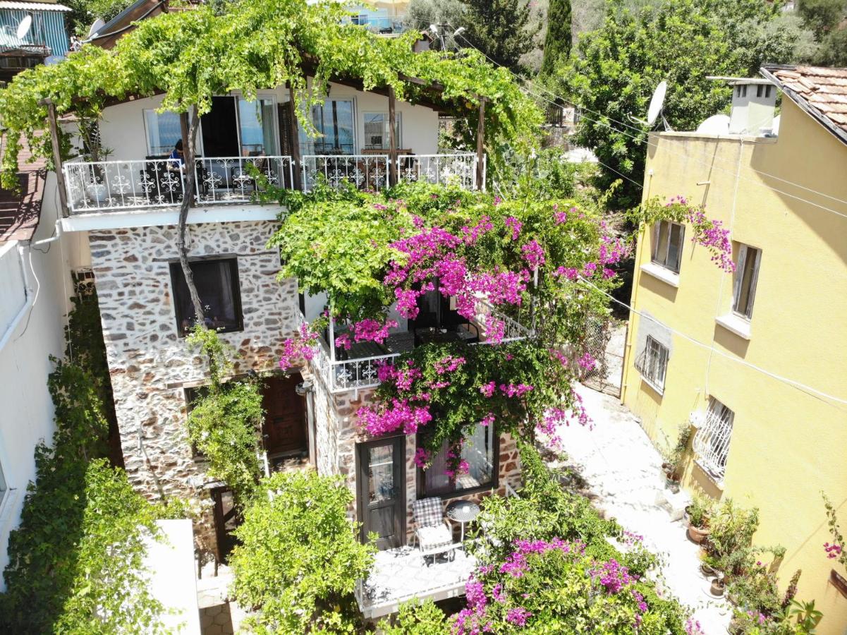 B&B Alanya - Lemon Villa Hotel - Adult Only - Bed and Breakfast Alanya