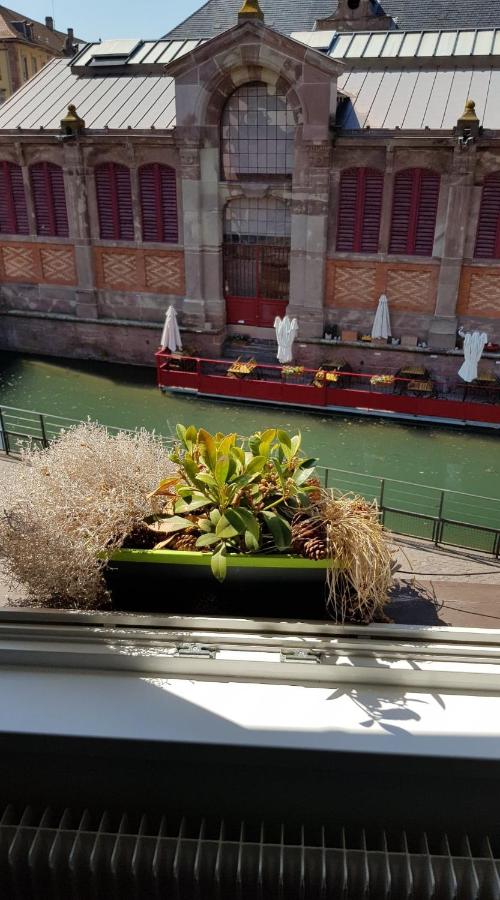 New ! VUE PETITE VENISE-PLACE TO BE OLD TOWN - PARKING - B&B Colmar