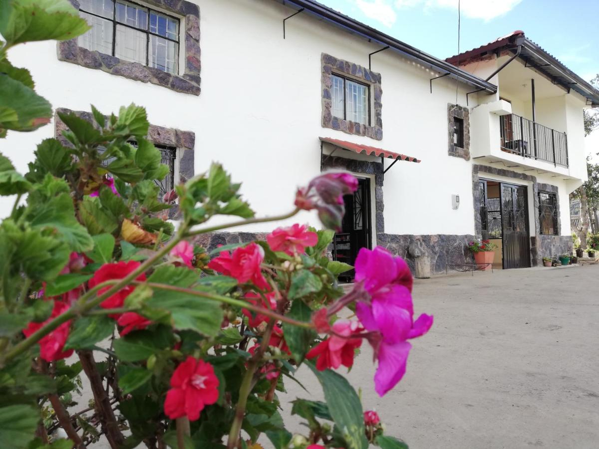 Los Geranios Hospedaje - B&B