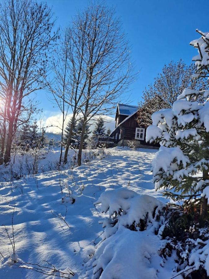 Chata góralska Wojtasówka - B&B Kamesznica