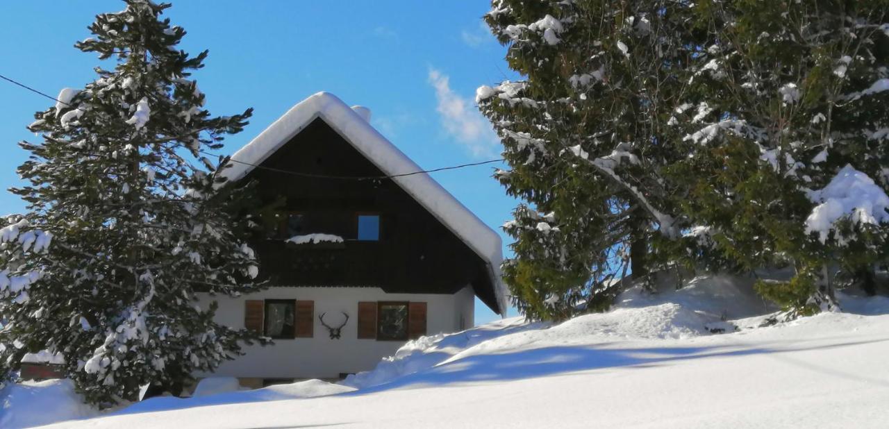 APARTMENT CHALET -BOHINJ- Pokljuka- Triglav National Park - Bed and Breakfast