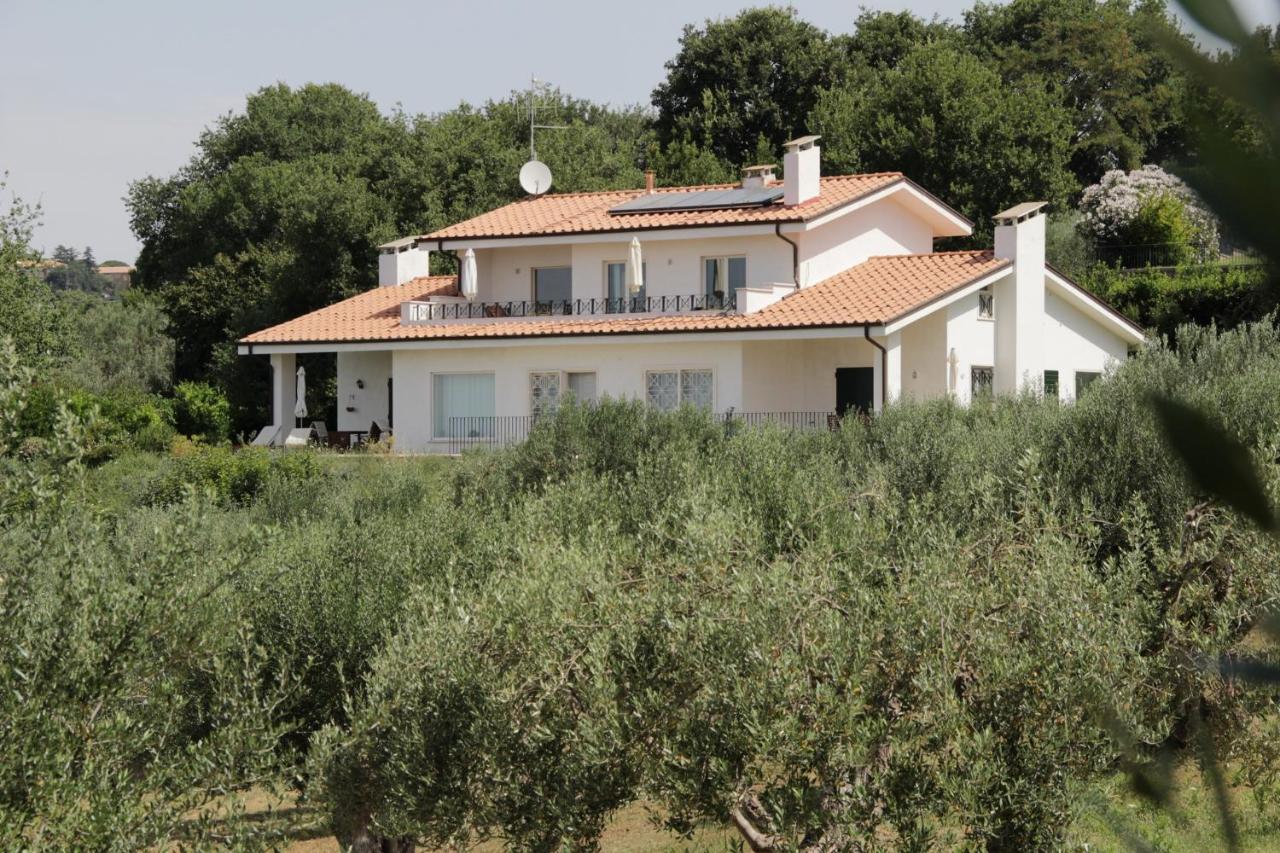 Villa Stauder - B&B