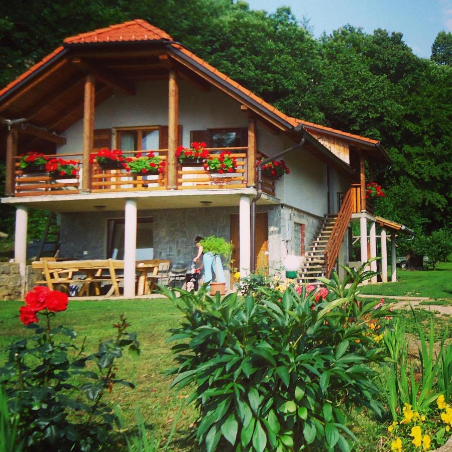 B&B Črnomelj - Vineyard Cottage Planinc - Bed and Breakfast Črnomelj