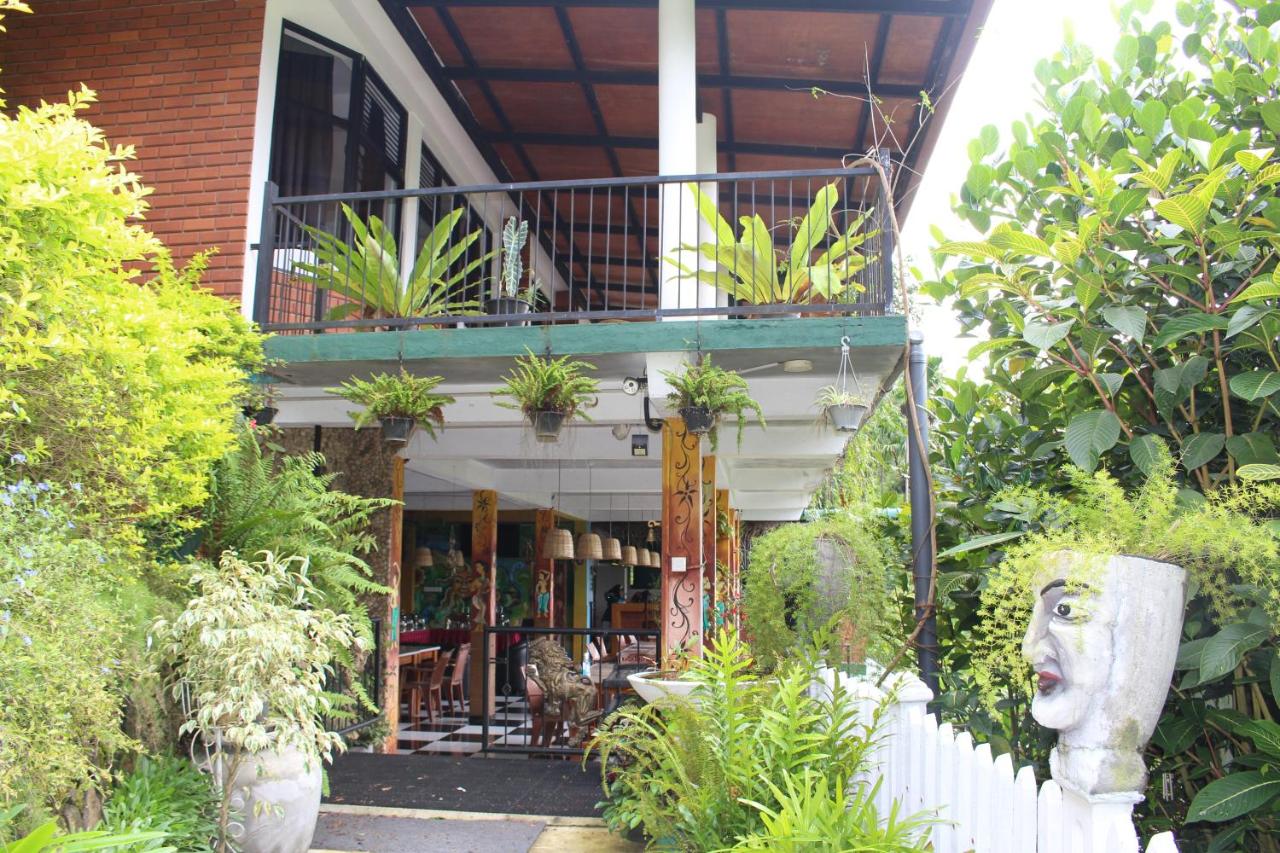 Rock side inn - Ella - B&B Ella Town