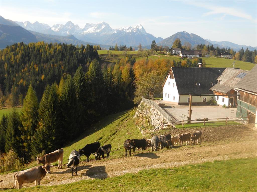 B&B Spital am Pyhrn - Familienbauernhof Imitz, Ferienwohnung - Bed and Breakfast Spital am Pyhrn