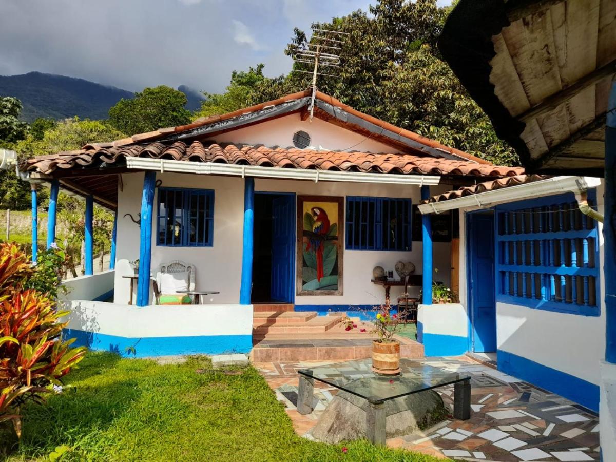 B&B San Carlos - Casa Horizontes - Bed and Breakfast San Carlos