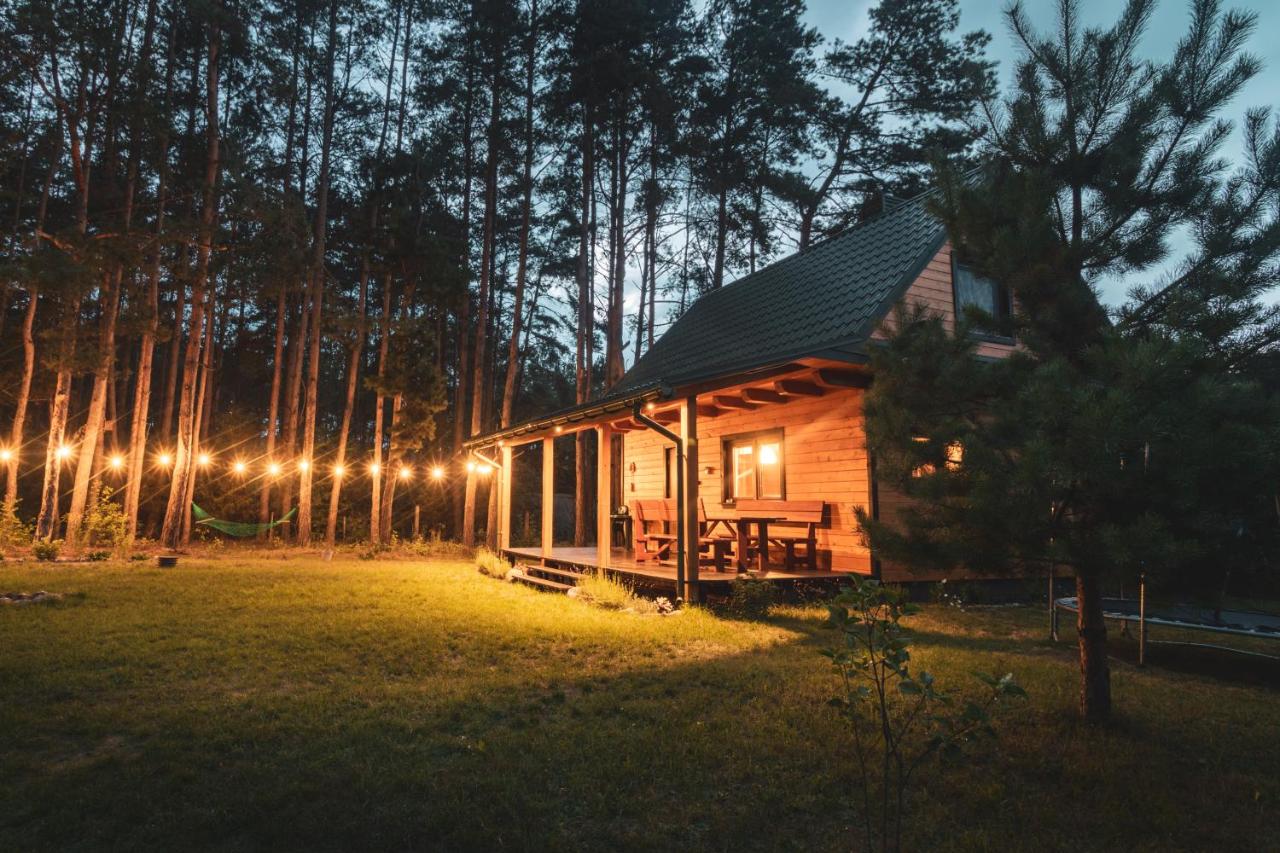 Leśna 21 Dom Południe przy PUSZCZA BIAŁOWIESKA - B&B Łuka