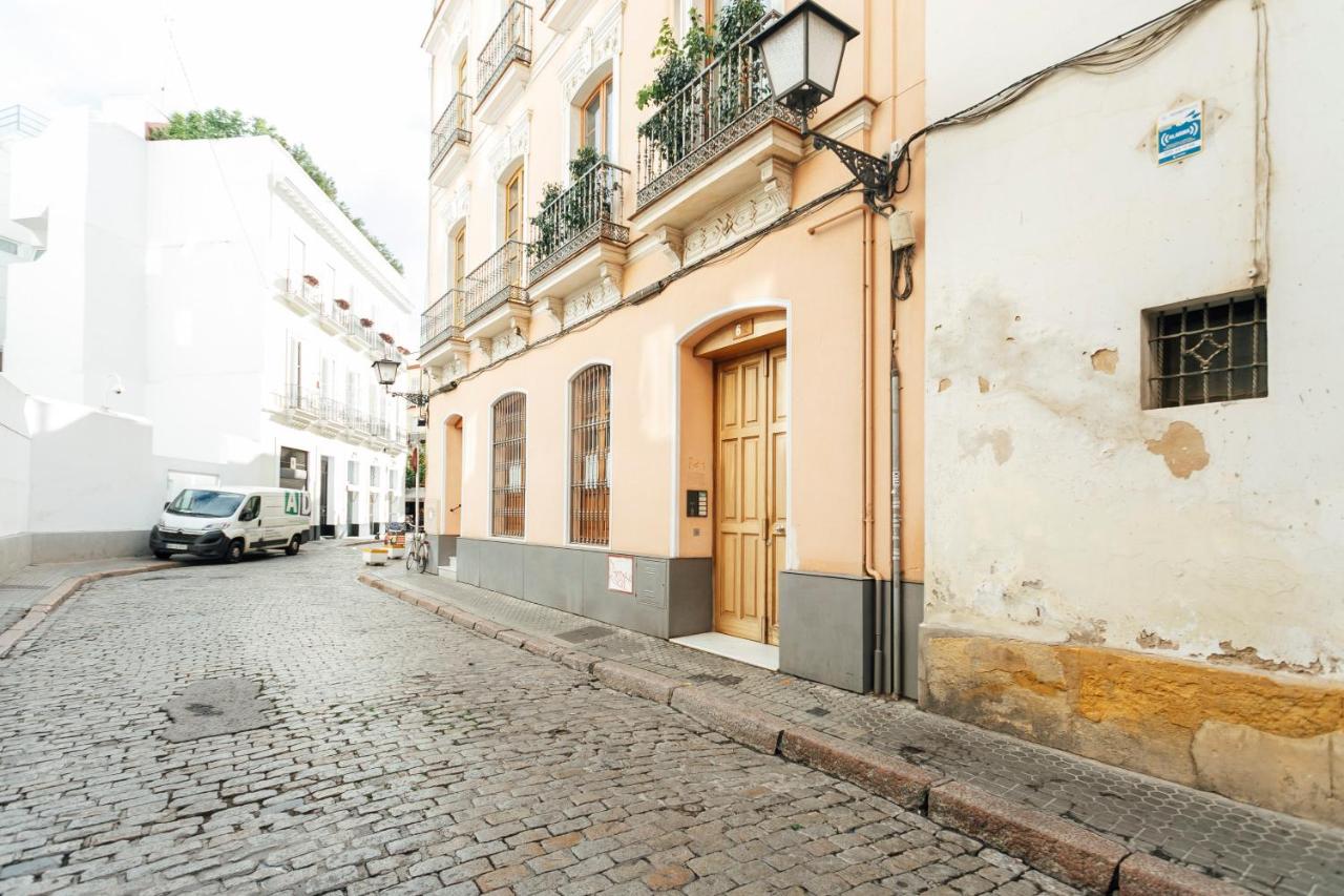 Alohamundi Zaragoza IV - B&B Sevilla