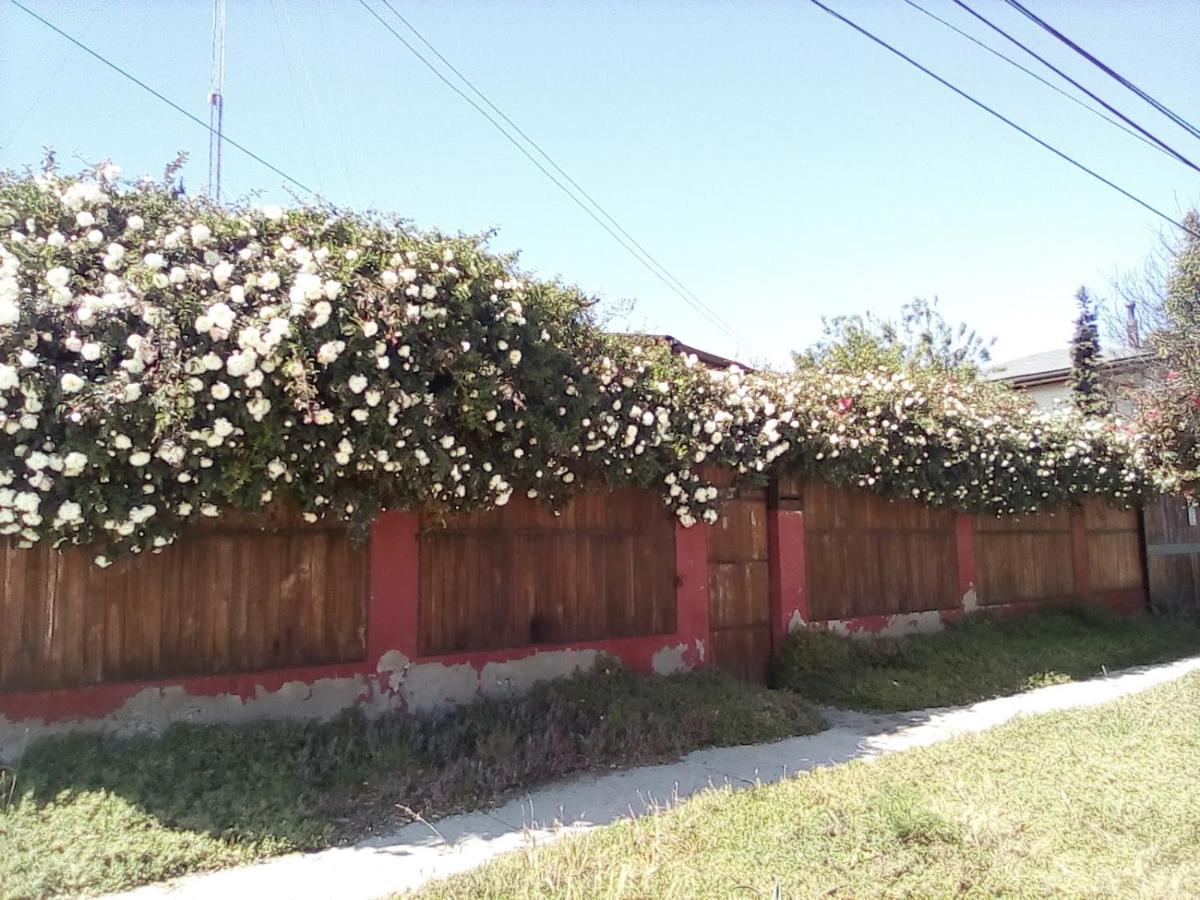 ROMA - B&B