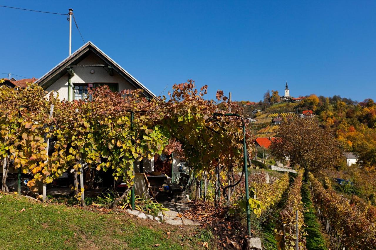 Vineyard Cottage Vercek - Bed and Breakfast Novo mesto