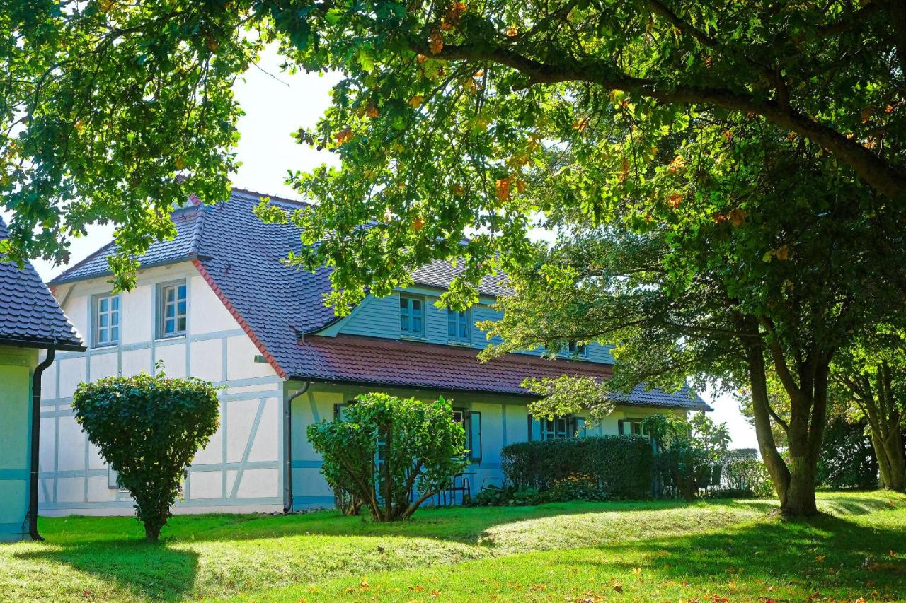 Strand-Wohnung "Weißdorn" - Ferienwohnung