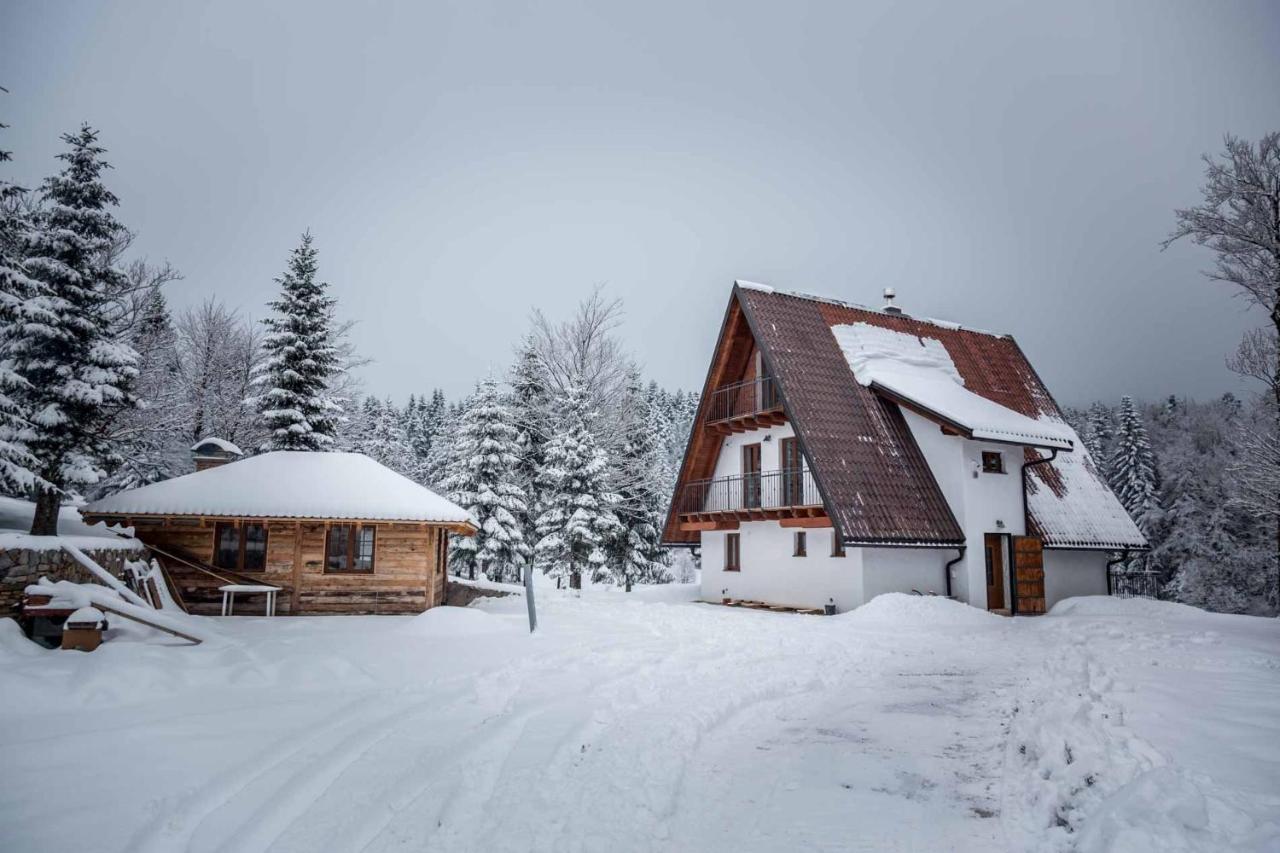 Mountain house Beauty of Laz - Bed and Breakfast Ravna Gora