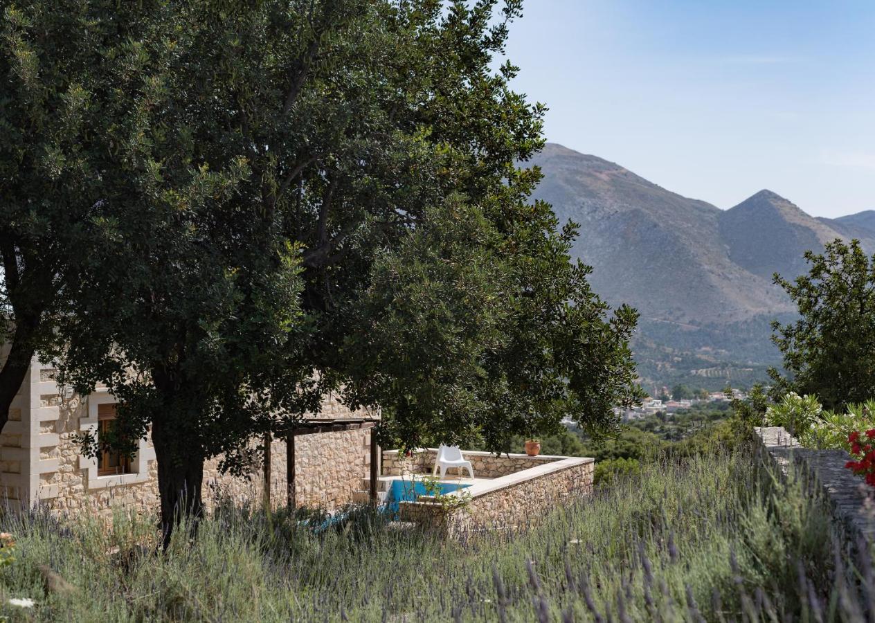 Villa con Piscina Privata 