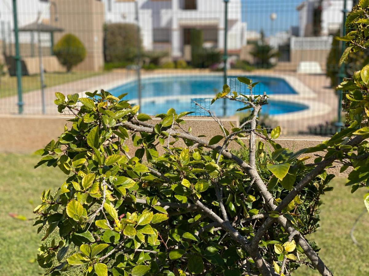 La Ciñuelica R15 1st Floor Apartment Com Pool L164 - B&B Orihuela