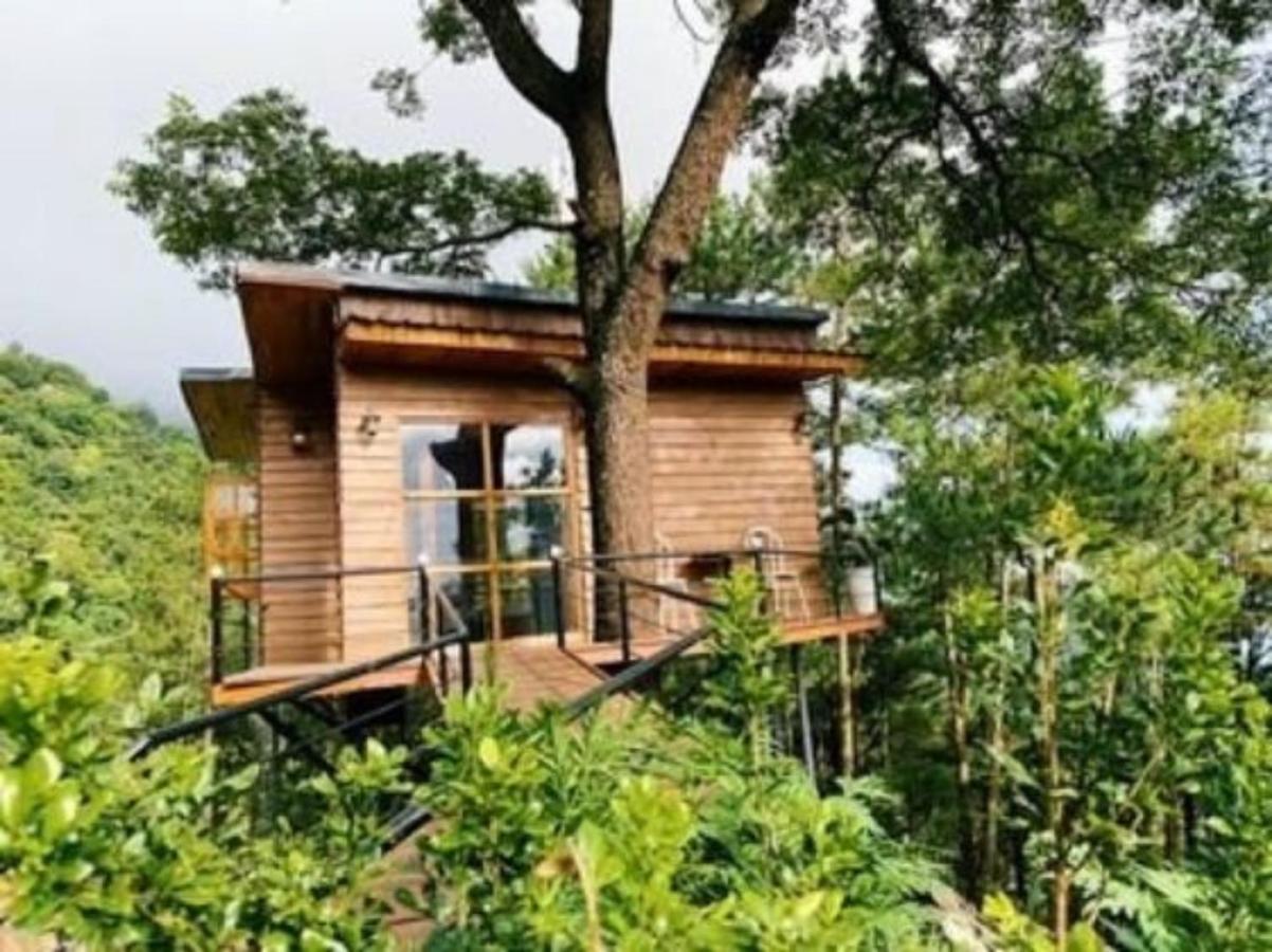 Chillout Village - Homestay Tam Đảo - B&B