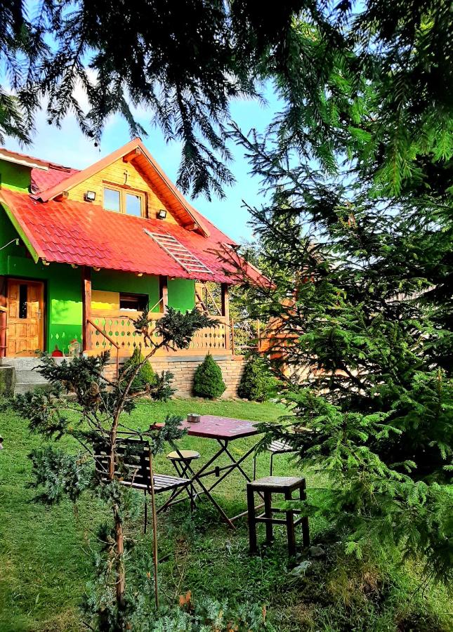 Cabana Drumul Voievodului - Bed and Breakfast Vulcan
