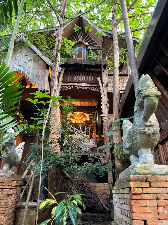 Villa del Riso Glutinoso con Trasferimento Aeroportuale Gratuito di Sola Andata