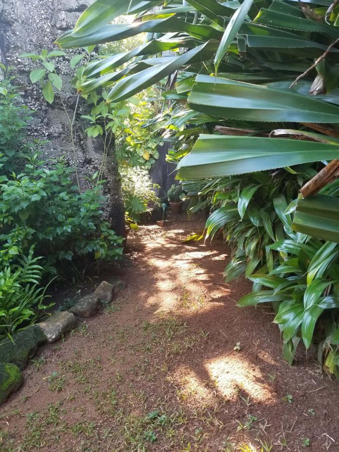 Llantrissant Beachcliff Villa - Bed and Breakfast Negril