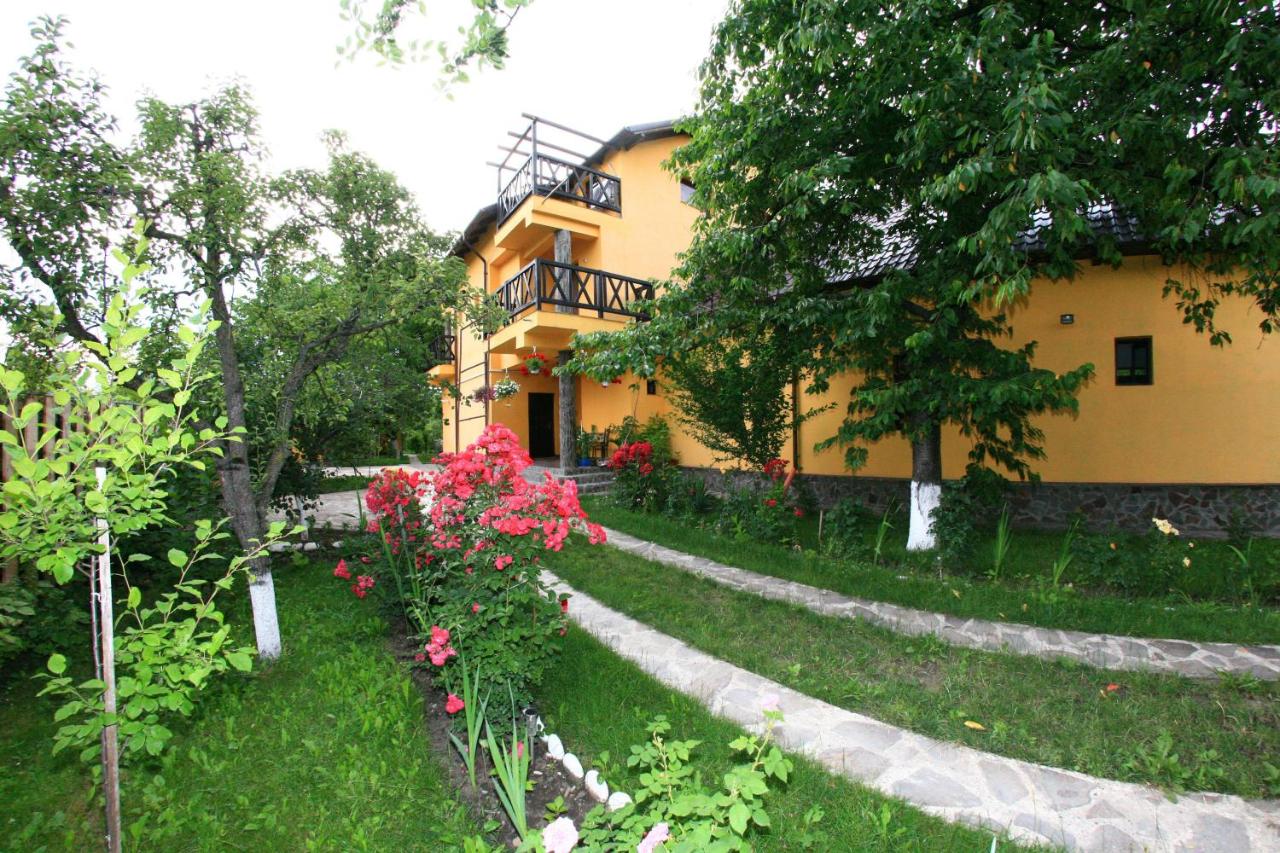 Pensiunea Elena - B&B