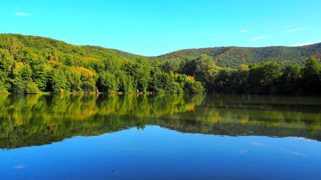 Bubánatvölgy Cseresznyevirág vendégház - B&B Strigonio