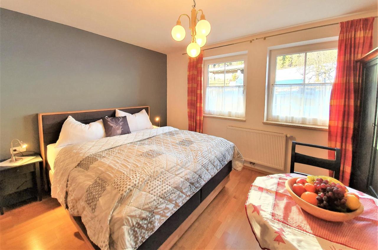 Studio - Vue sur Montagne