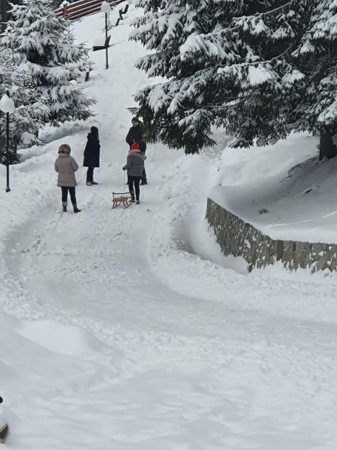 Casa Sofia Bucovina - Bed and Breakfast