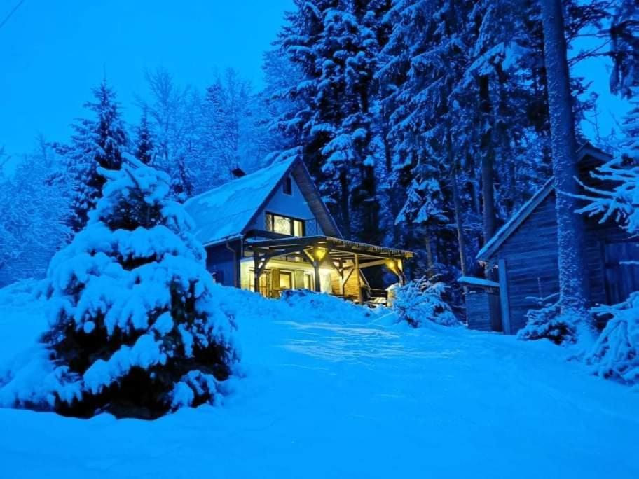 Krpáčovo, Nízke Tatry - chata na kraji lesa - B&B
