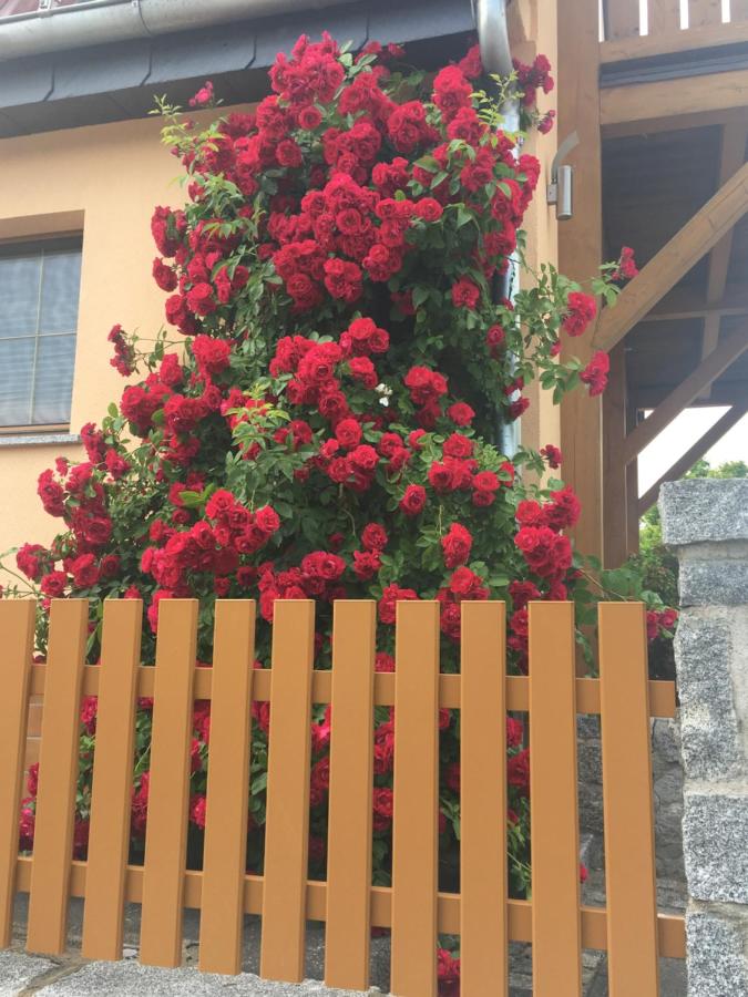 FeWo „Zum Napoleonstein“ - B&B Dresda