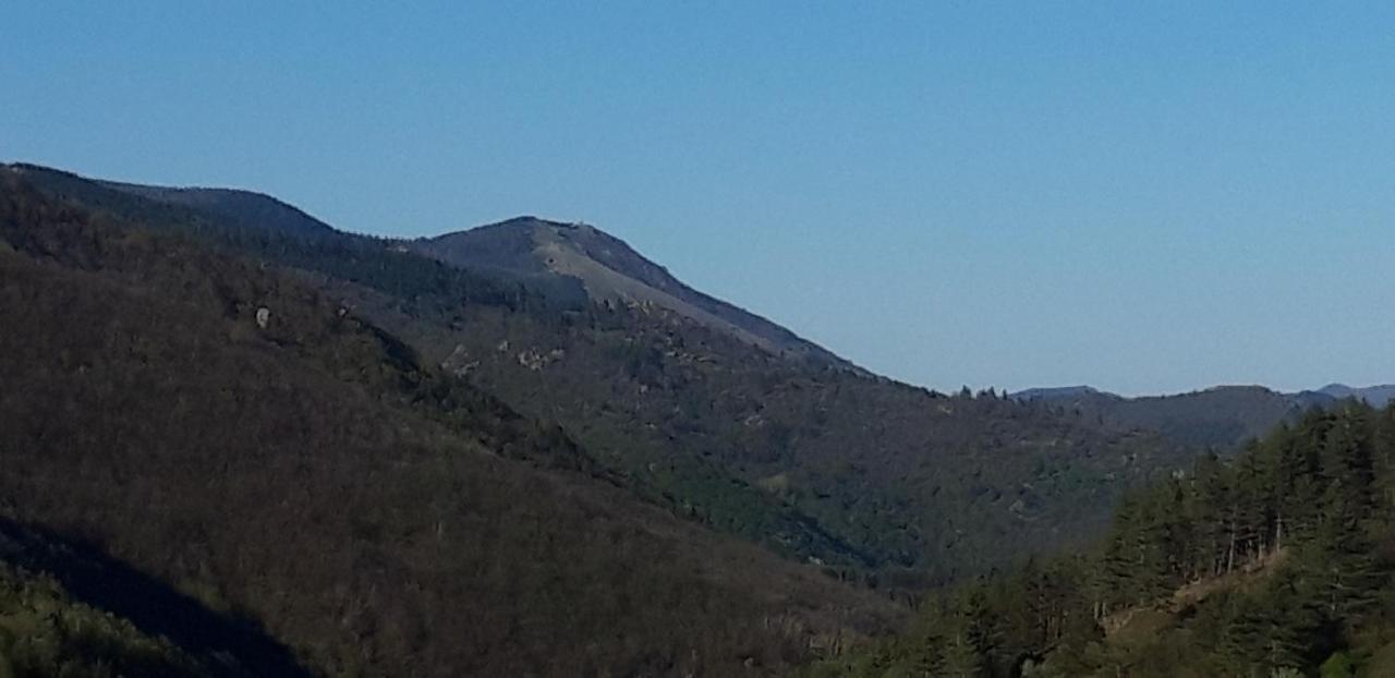 Gîtes chez Daniel "Cevennes 2" - Ferienwohnung