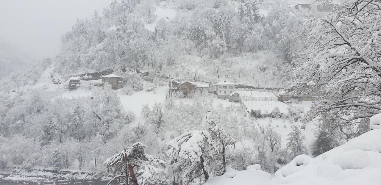 Camera Familiare Standard 