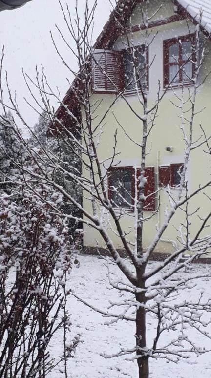 Kitti Vendégház - B&B Tiszafüred