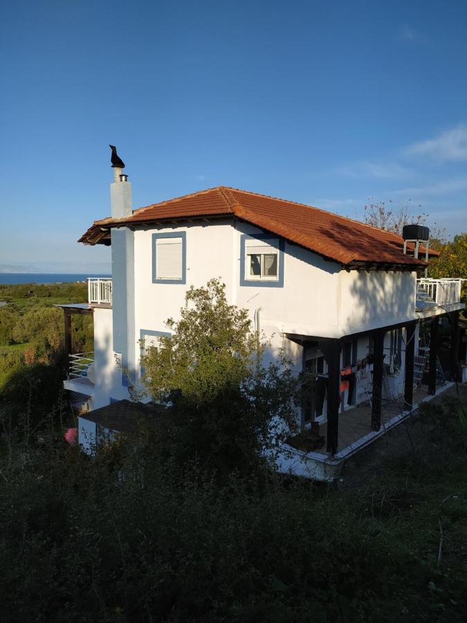 Alexandra Homestay - B&B