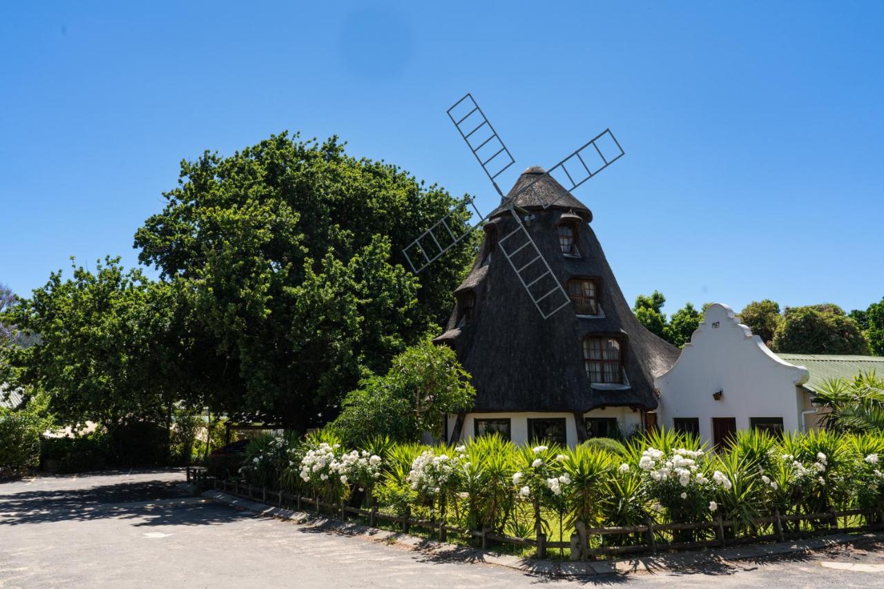 B&B Hou Moed - De Hollandsche Molen - Bed and Breakfast Hou Moed