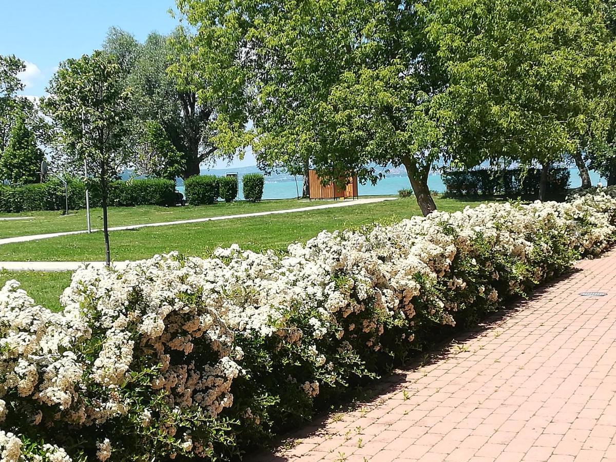 Zamárdi Sirály - B&B Zamárdi