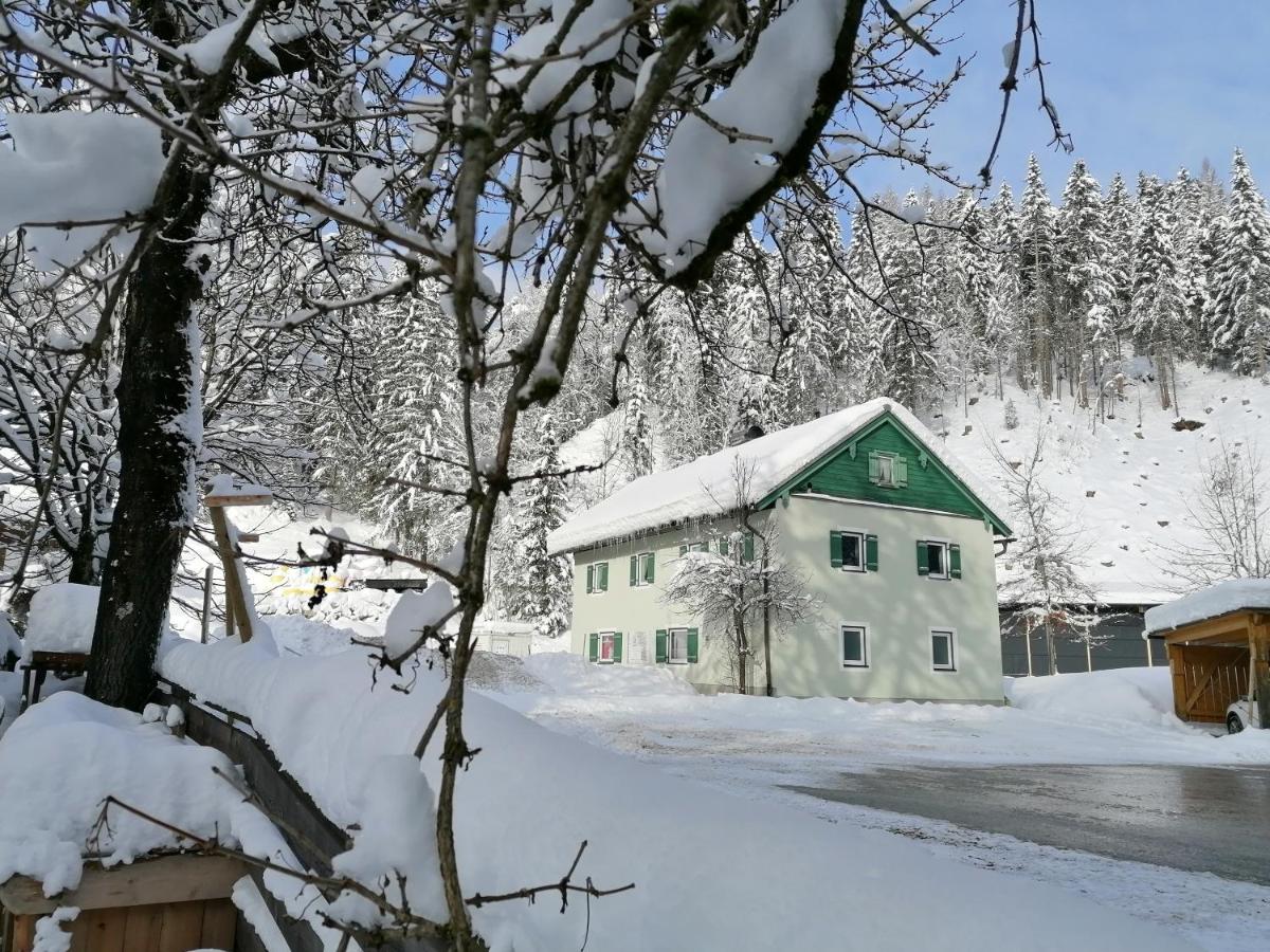 Helle Ferienwohnung Saunahaus - Ferienwohnung