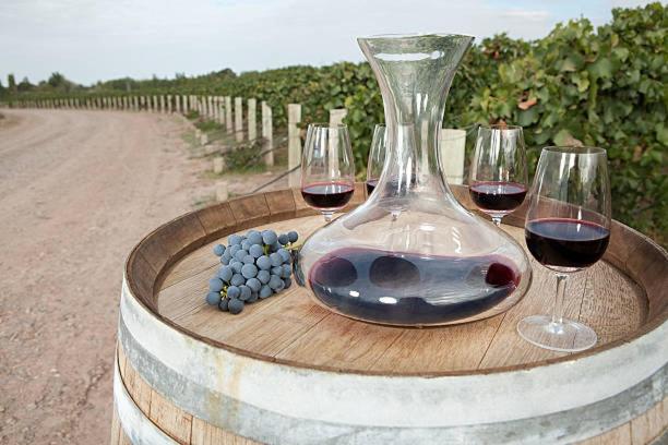 Apartamento Deluxe Senderos del Vino I, con cochera incluida, Desayuno opcional - Chambres d'hôtes Mendoza