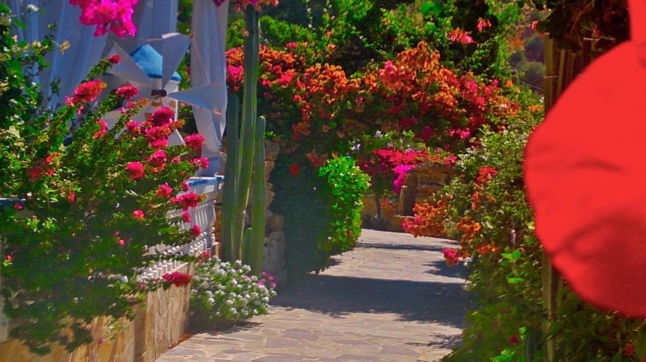 Appartement - Vue sur Jardin
