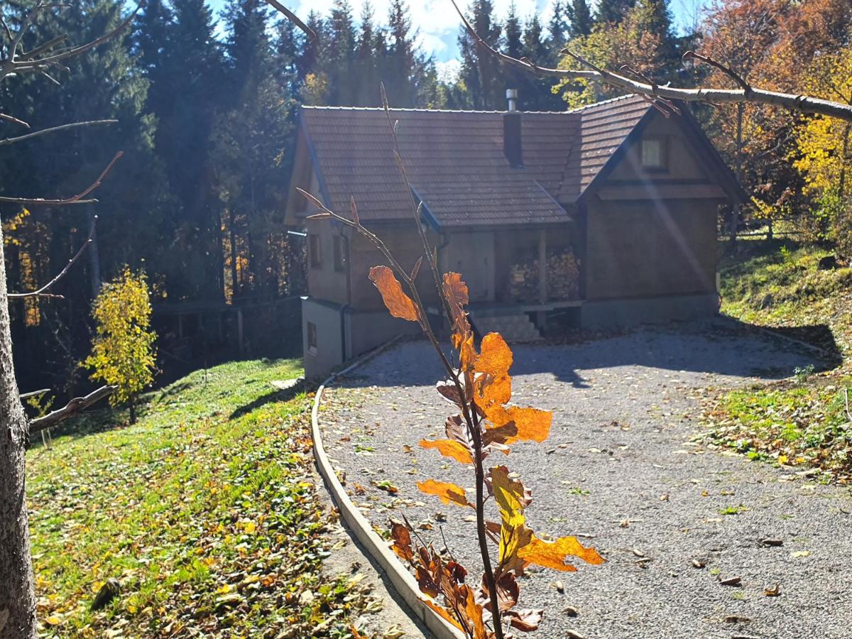 B&B Ravna Gora - Starry Laz mountain house - Bed and Breakfast Ravna Gora