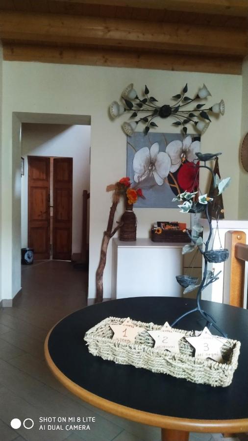 B&B San Benedetto Po - Il Tempo Dei Sogni - Bed and Breakfast San Benedetto Po