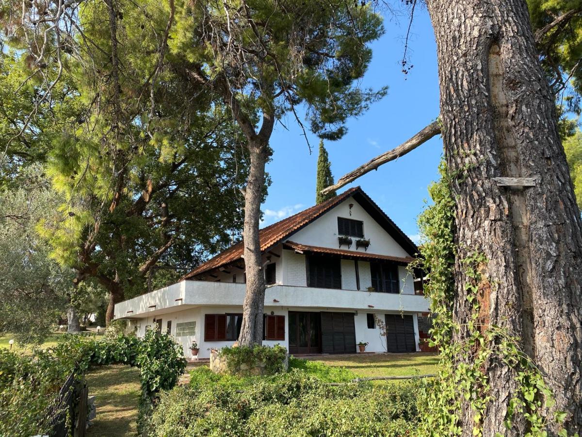 Wild Oaks Cottage - B&B Kryopigí