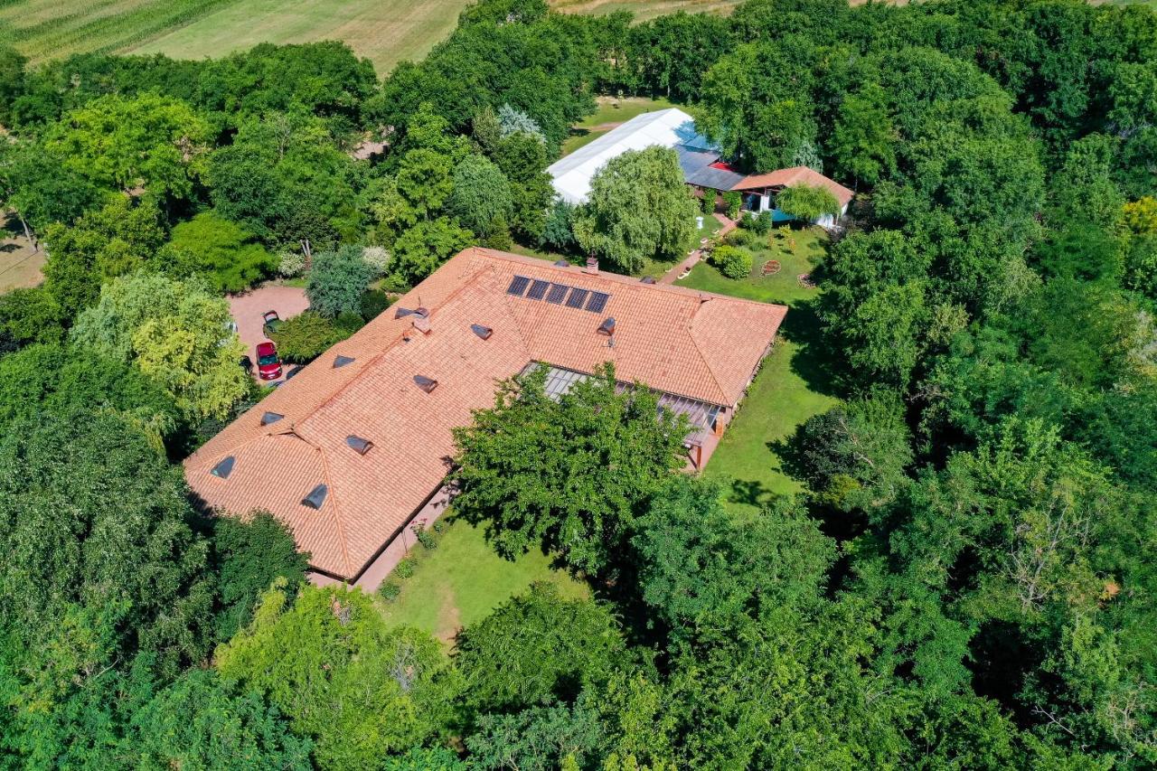 Liget Rezidencia - B&B Zákányszék