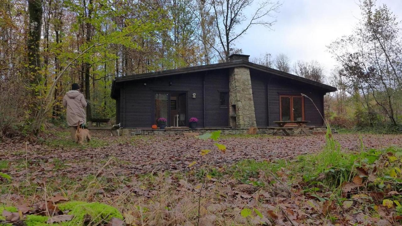 Forest Lodge - Chambres d’hôtes