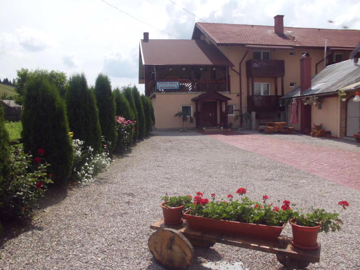 Pensiunea Alexandra - Bed and Breakfast