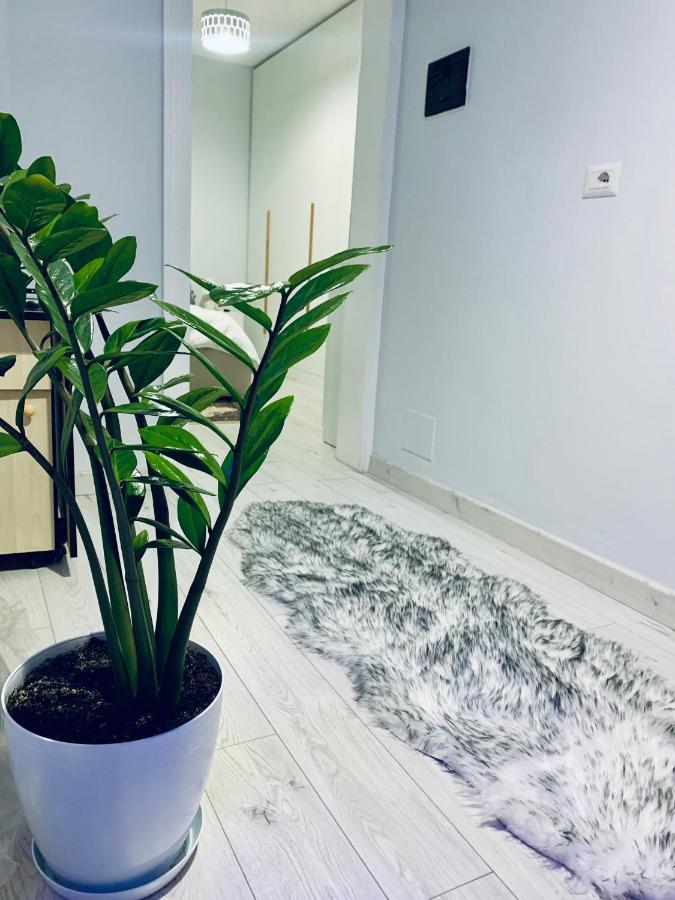 Cozy Corner - Bed and Breakfast Tirana