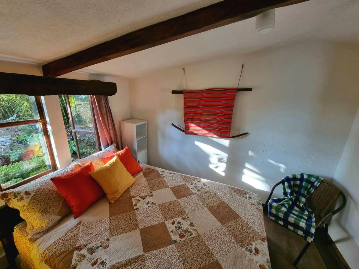 Studio with Garden View