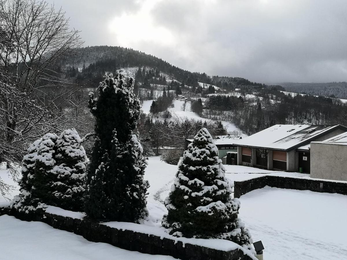 Appartement cosy et fonctionnel la Bourboule - Bed and Breakfast La Bourboule